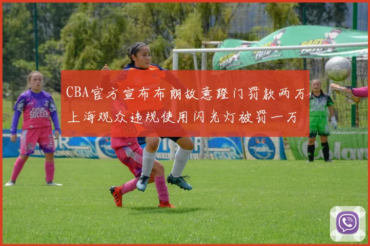 CBA官方宣布布朗故意蹬门罚款两万上海观众违规使用闪光灯被罚一万