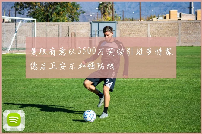 曼联有意以3500万英镑引进多特蒙德后卫安东加强防线